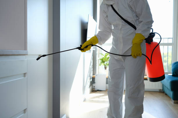 Best Health and Safety Mold Remediation in Litchfield Park, AZ